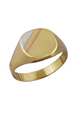 Ανδρικό Χρυσό Δαχτυλίδι Με Τρίχρωμη Λεπτομέρεια Μπροστά